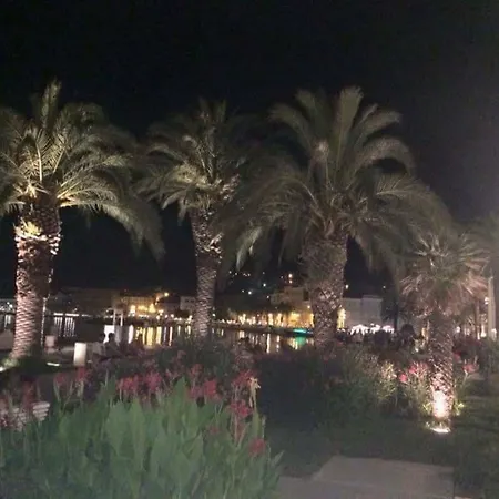Dalmatia *